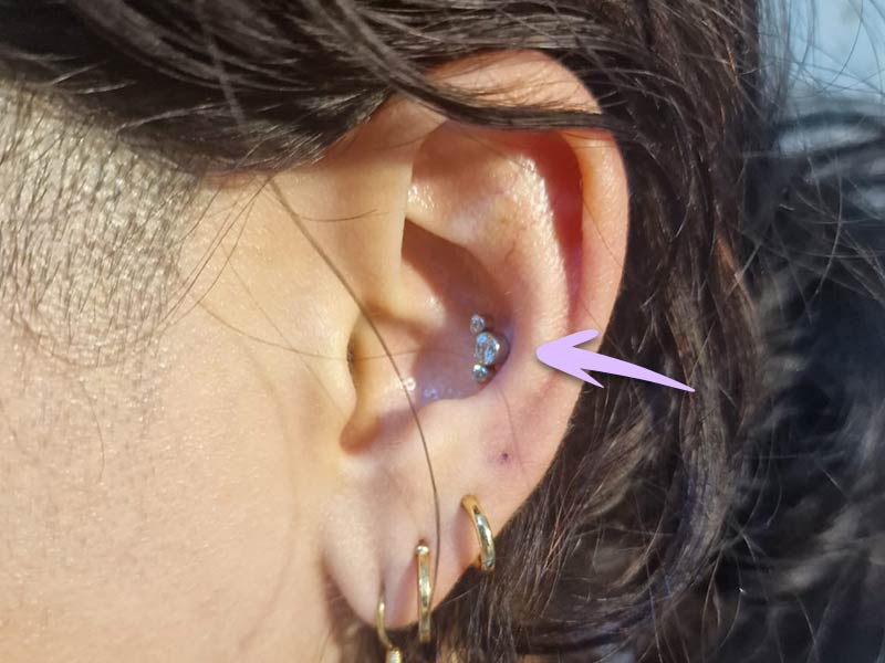 Midway Helix Piercing 2024 cellpower.eu