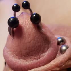 Piercing ampallang Male Genital